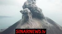 Index_Jokowi