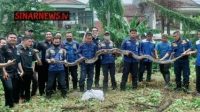 Tanpa judul (214 × 120 piksel) (426 × 240 piksel) (7)