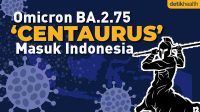omicron-centaurus_169.jpeg