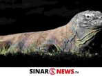 SINARNEWS_20240603_155011_0000