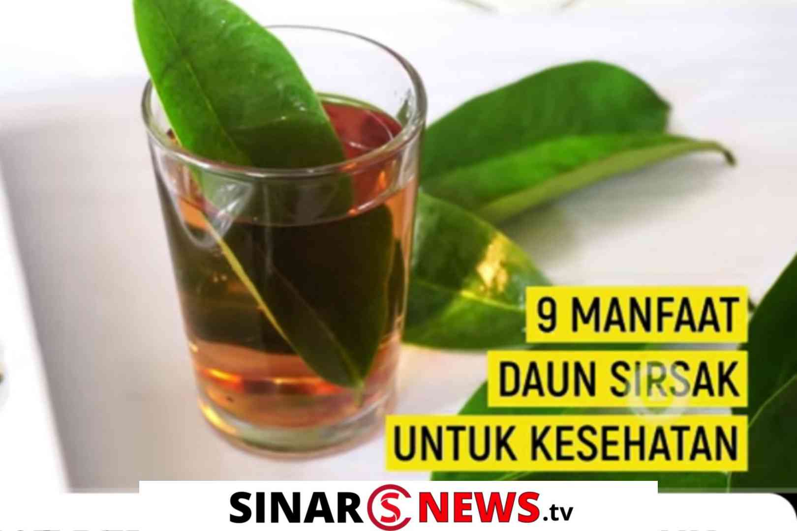 Alt=“kesehatan” , Alt=“sinarnews”