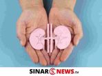 SINARNEWS