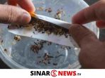 SINARNEWS_20240817_203619_0000