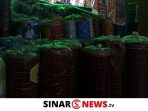 SINARNEWS (100 x 65 cm)_20241016_171832_0000