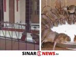 sinarnews aron lastrin advokat pengacara