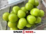 sinarnews aron lastrin advokat pengacara_20241029_222643_0000