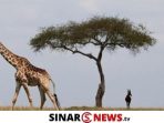 SINARNEWS_20241128_161241_0000