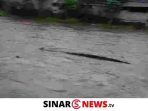 sinarnews_aron_lastrin_advokat_pengacara_nikolas_naibaho_20241217_110115_0000