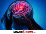sinarnews_aron_lastrin_advokat_pengacara_nikolas_naibaho_20250301_170039_0000