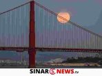 sinarnews_aron_lastrin_advokat_pengacara_nikolas_naibaho_20250412_154802_0000