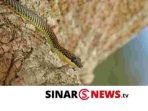 sinarnews_aron_lastrin_advokat_pengacara_nikolas_naibaho_20250527_082438_0000