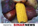 sinarnews_aron_lastrin_advokat_pengacara_nikolas_naibaho_20251113_140718_0000