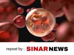 sinarnews_aron_lastrin_advokat_pengacara_nikolas_naibaho_20251123_132304_0000