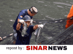 sinarnews_aron_lastrin_advokat_pengacara_nikolas_naibaho_20260413_083334_0000
