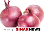 sinarnews_aron_lastrin_advokat_pengacara_nikolas_naibaho
