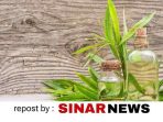 sinarnews_aron_lastrin_advokat_pengacara_nikolas_naibaho