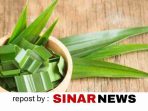 sinarnews_aron_lastrin_advokat_pengacara_nikolas_naibaho