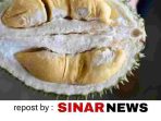 sinarnews_aron_lastrin_advokat_pengacara_nikolas_naibaho_20260521_145505_0000