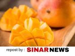 sinarnews_aron_lastrin_advokat_pengacara_nikolas_naibaho - 2026-06-12T094755.843