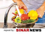 sinarnews_aron_lastrin_advokat_pengacara_nikolas_naibaho