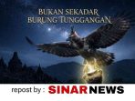 sinarnews_aron_lastrin_advokat_pengacara_nikolas_naibaho