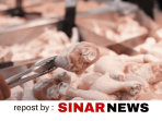 sinarnews_aron_lastrin_advokat_pengacara_nikolas_naibaho_20260821_104206_0000