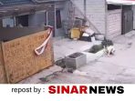 sinarnews_aron_lastrin_advokat_pengacara_nikolas_naibaho_20260825_172644_0000